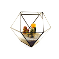 Terrarium suspendu rond en verre carré géométrique clair